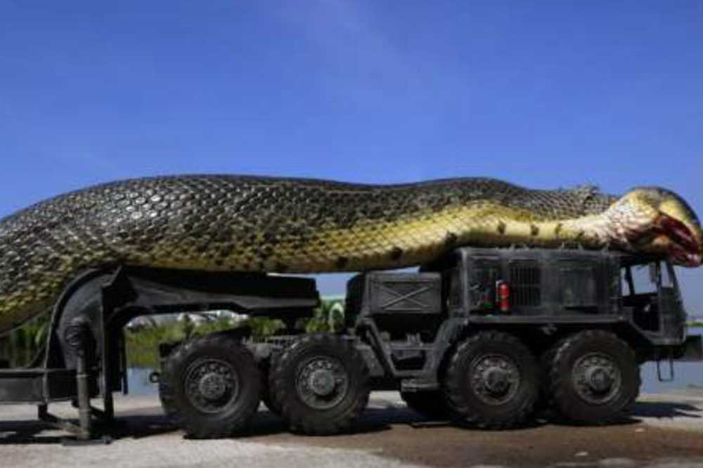 Най-голямата змия на света е на 103 години 