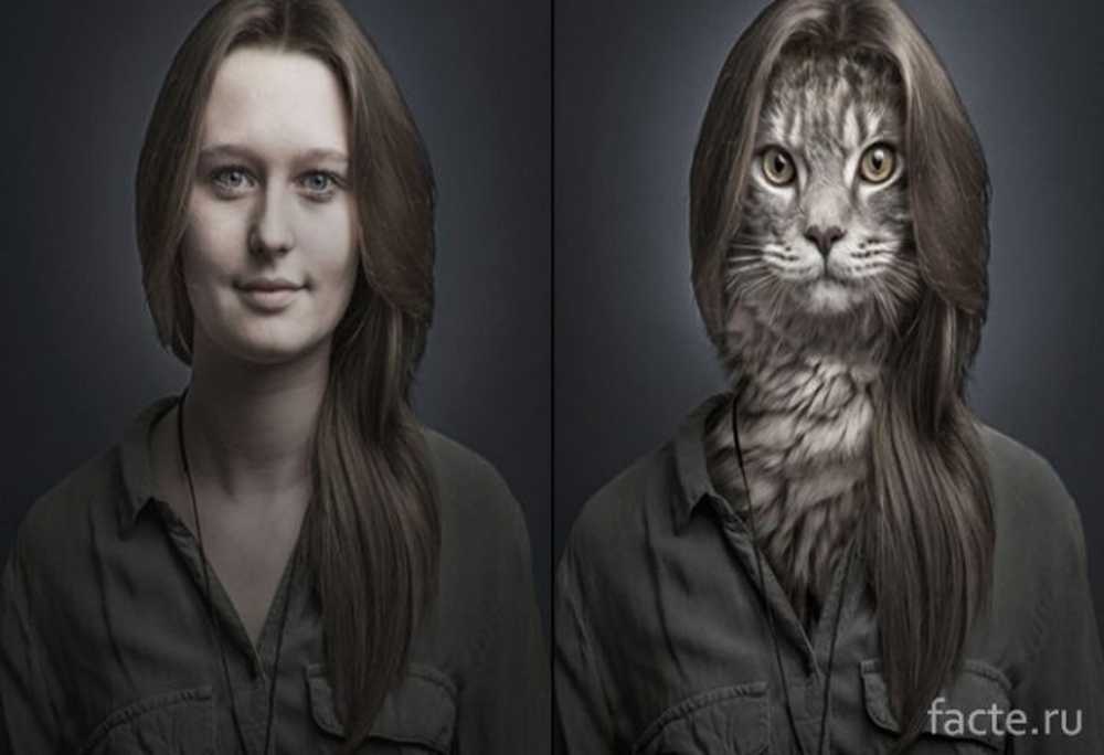 Включи человек и кот. Себастьян Маньяни. Себастьян Маньяни фотограф. Креативный портрет. Портрет с животным.