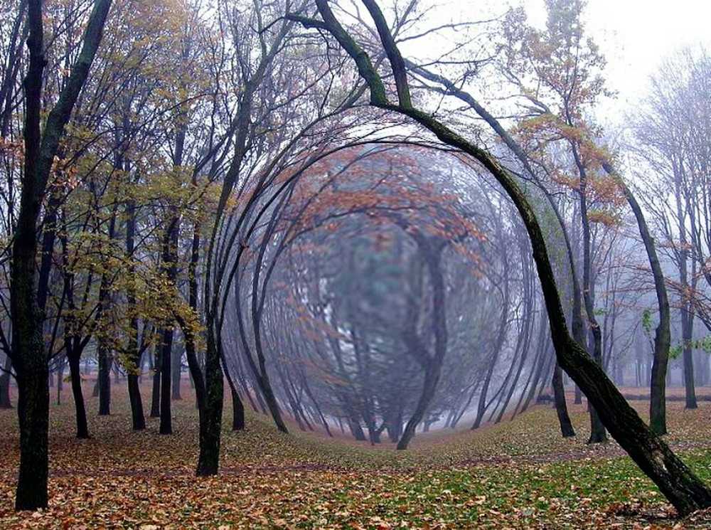 Что такое аномалия. Аномальные зоны Новосибирской области. Аномальная зона. Природные аномалии. Аномальные места.