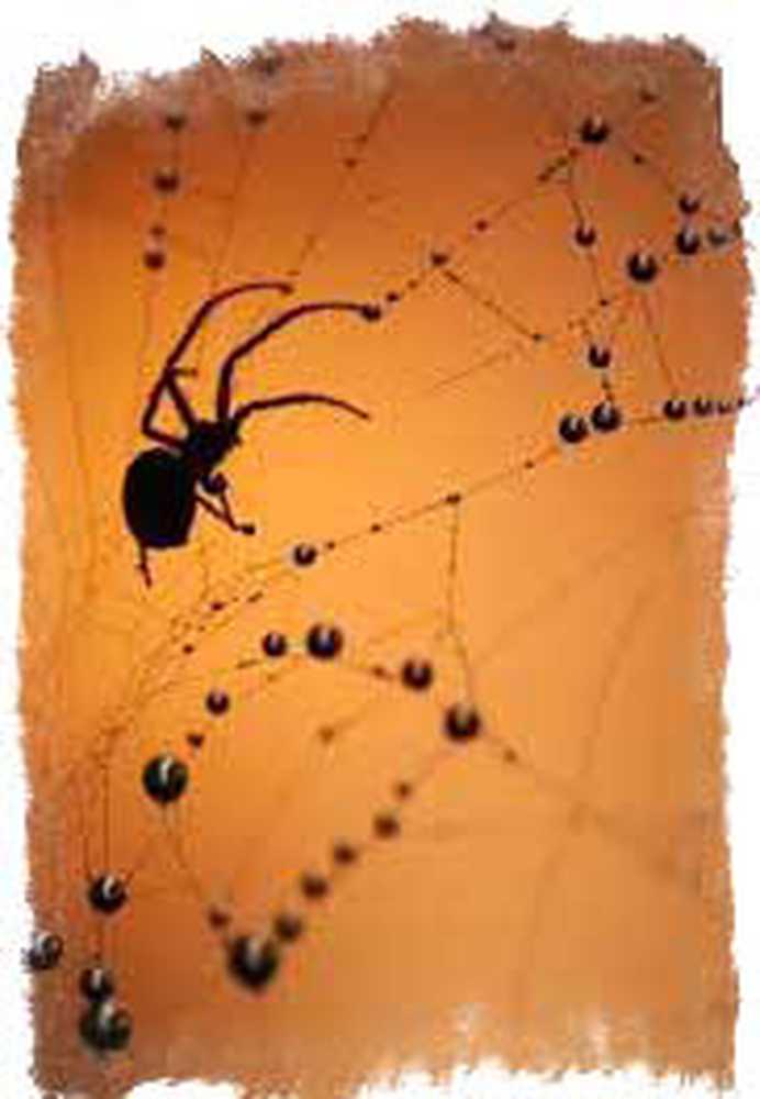 Паук ползет по паутине. Паучок ползет вверх. Паук спускается по паутине. Тегенария геншин. Паучок ползет вверх.