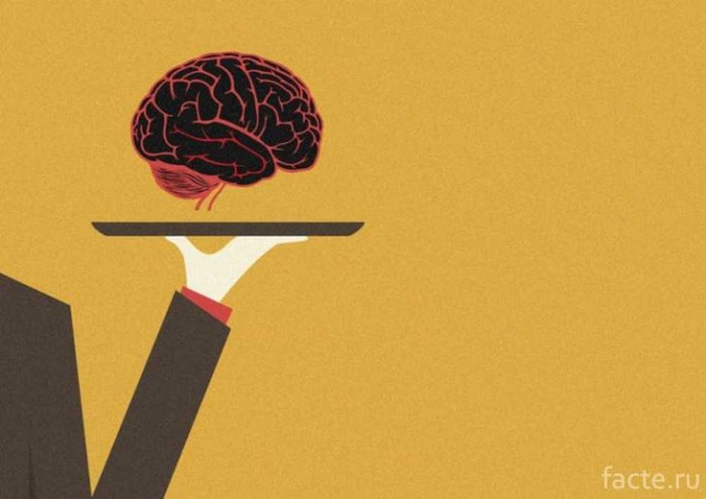 иллюзии вкуса. иллюзии вкуса. иллюзия вкуса. иллюзии вкуса. расстройства вкусовых ощущений.