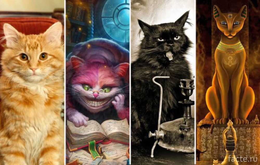 Кот герой произведений. Литературные коты. Знаменитые коты из мультфильмов. Кошки из литературных произведений. Персонажи литературных произведений.