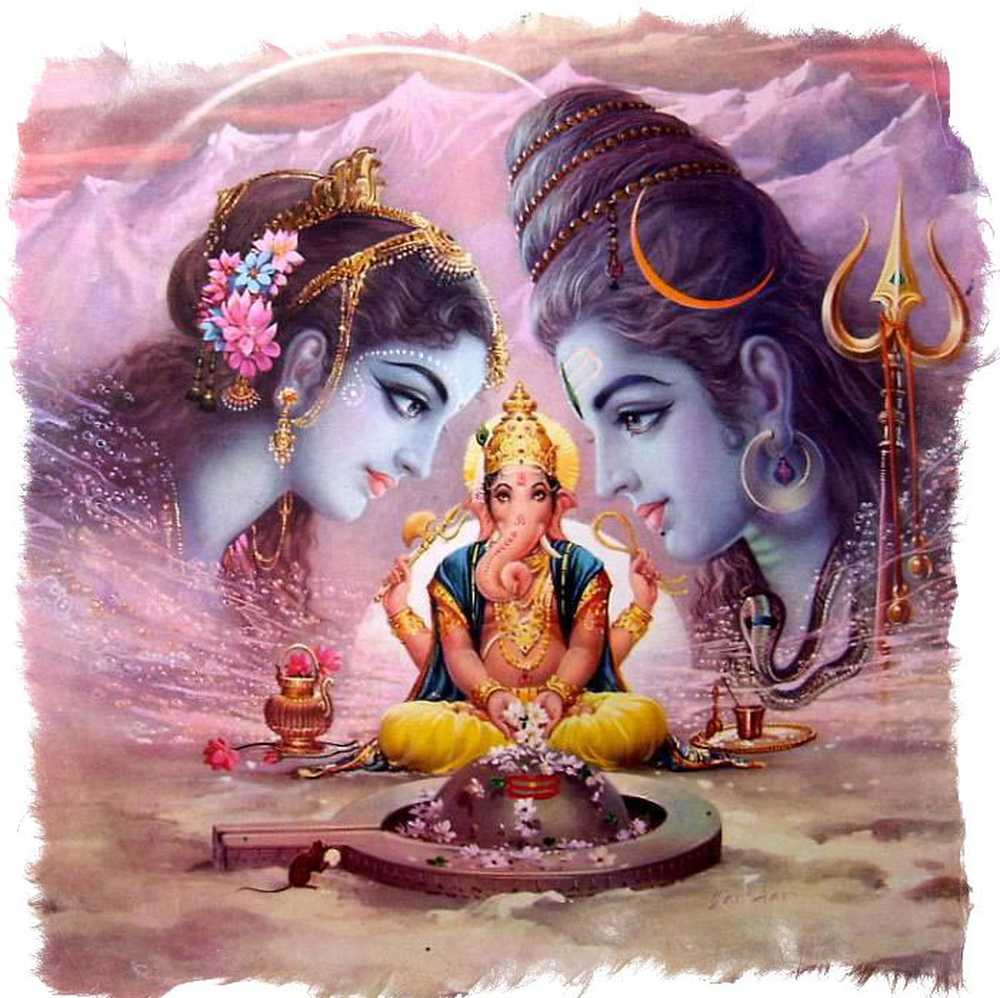 Parvati Seattle