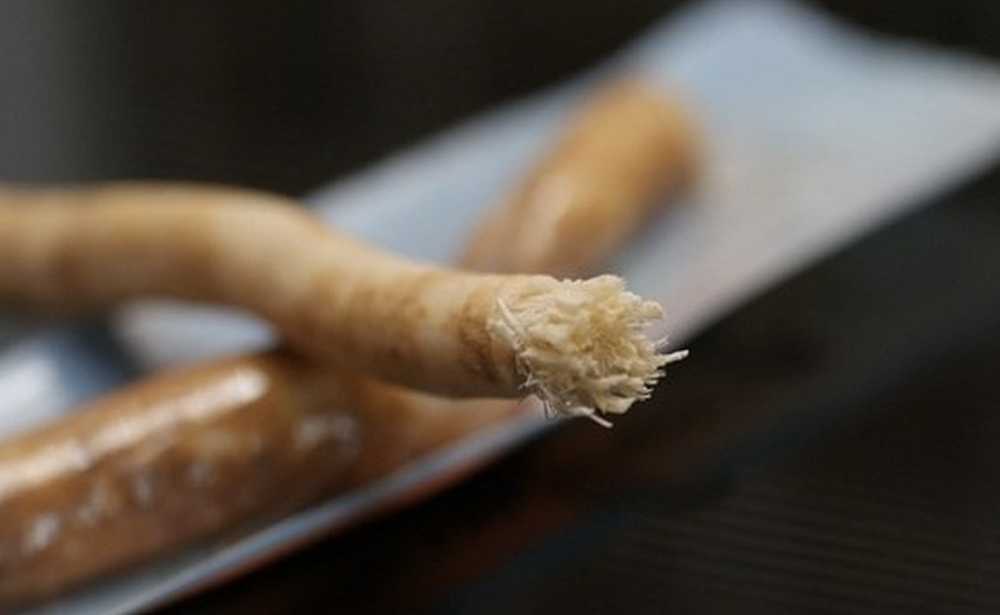 Египетский мисвак. Дерево чистить зубы. Мисвак египетская палочка. Дерево арак сивак. Корень дерева для чистки зубов.