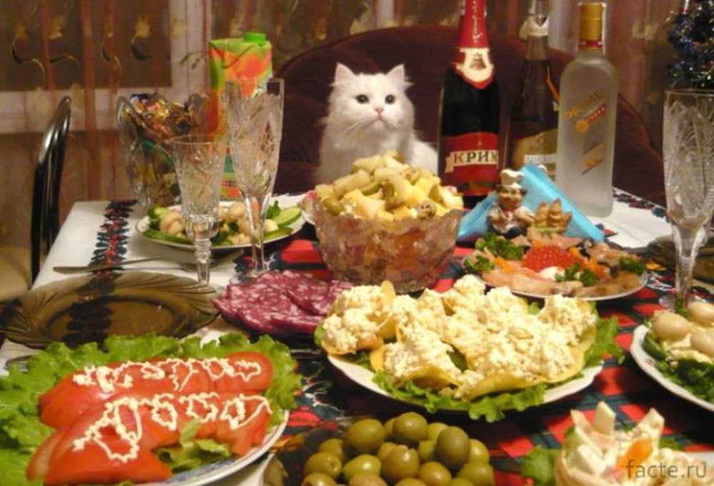 Смешные Столы Фото