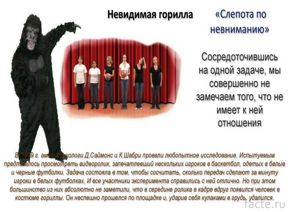 Перцептивная слепота картинки