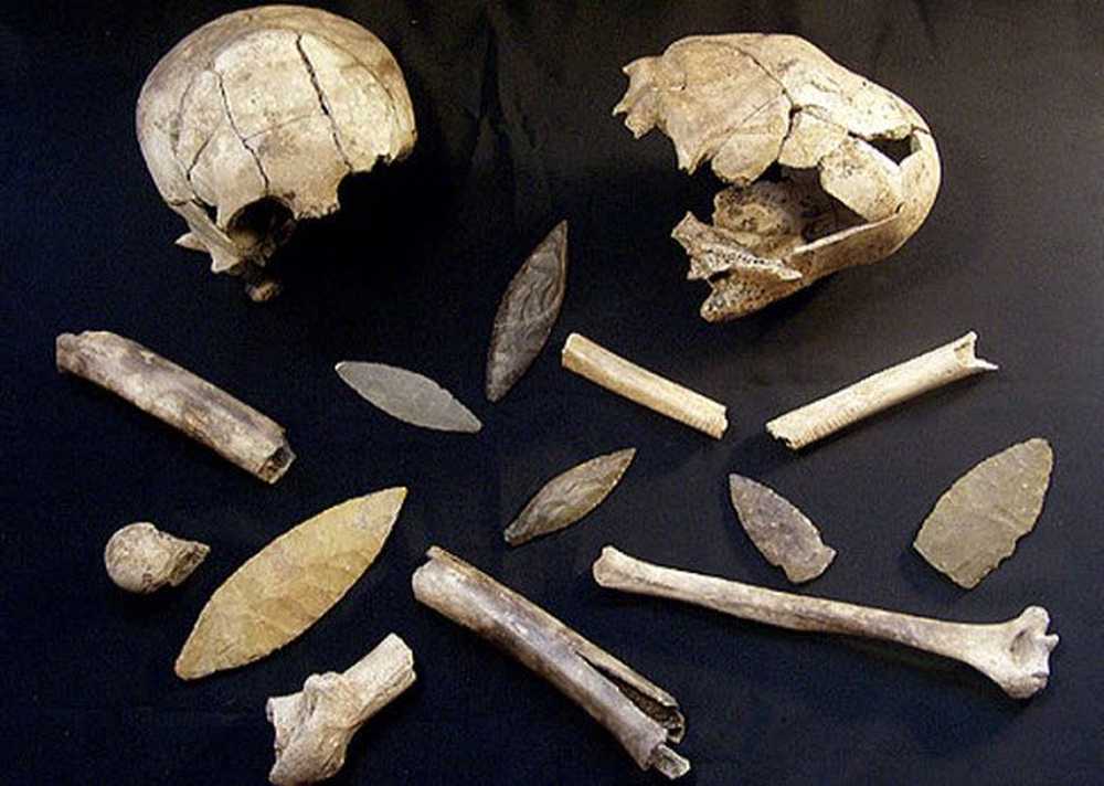 Известные находки. Археологические находки из кости.