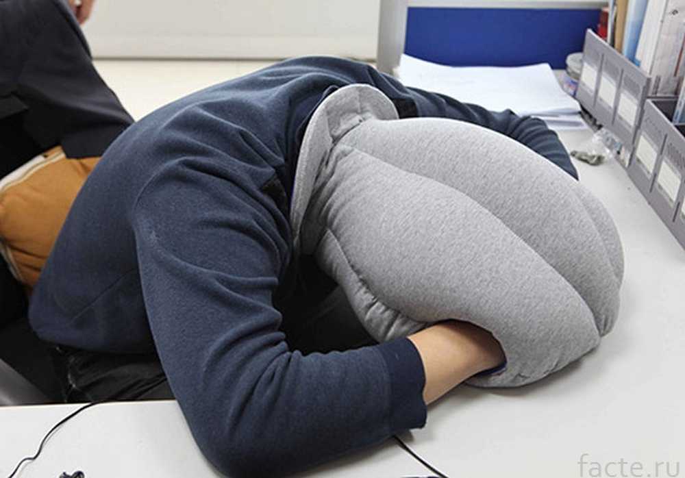 Затылок сон. Подушка-страус Ostrich Pillow. Подушка сон. Подушка для сна в офисе. Подушка для сна на столе.