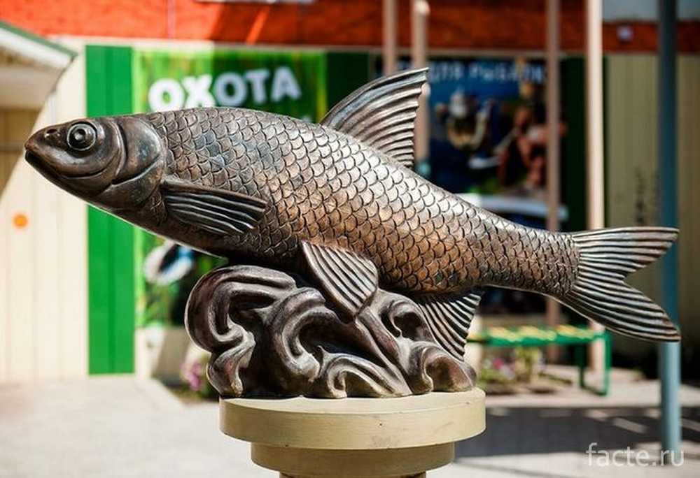 Царь Рыба Фото