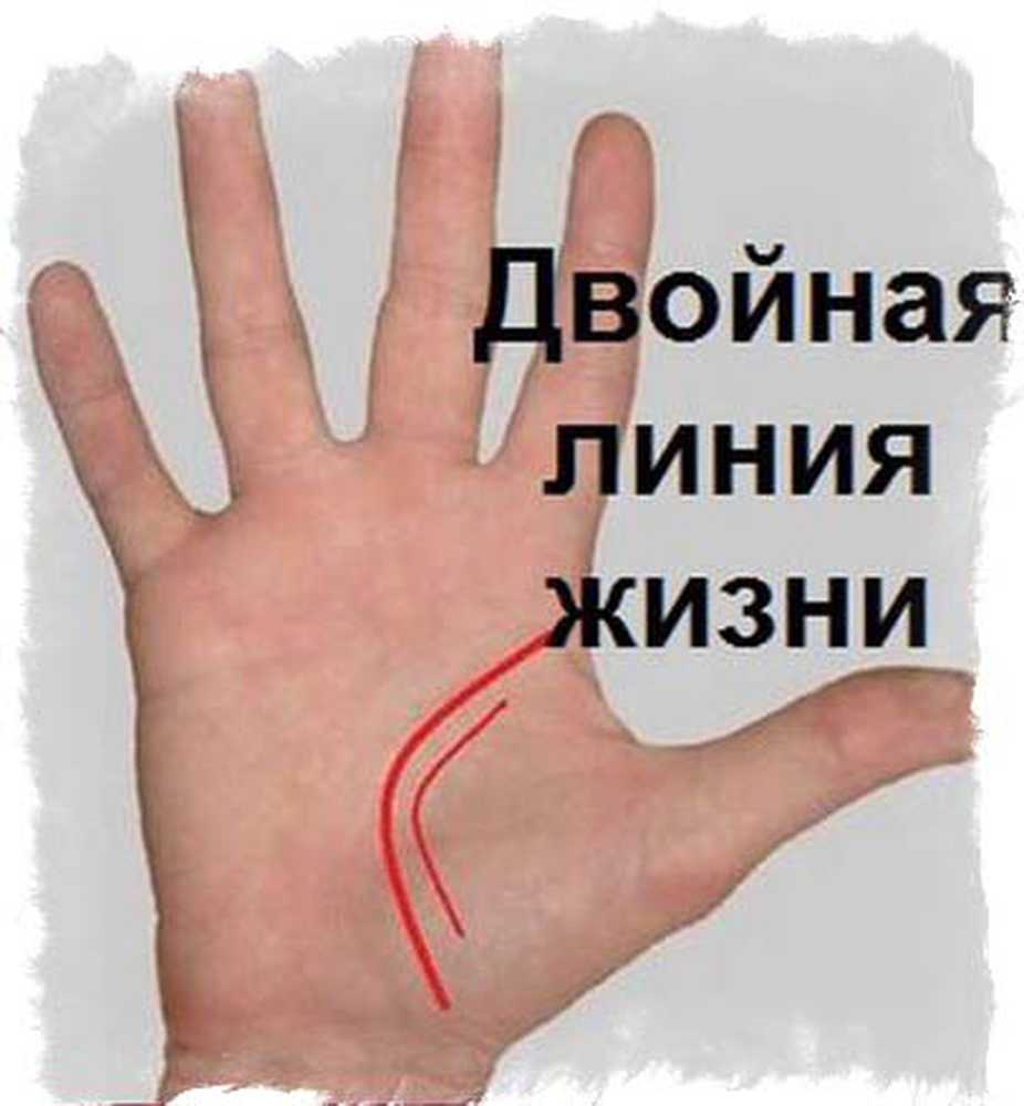 Картинка линия жизни