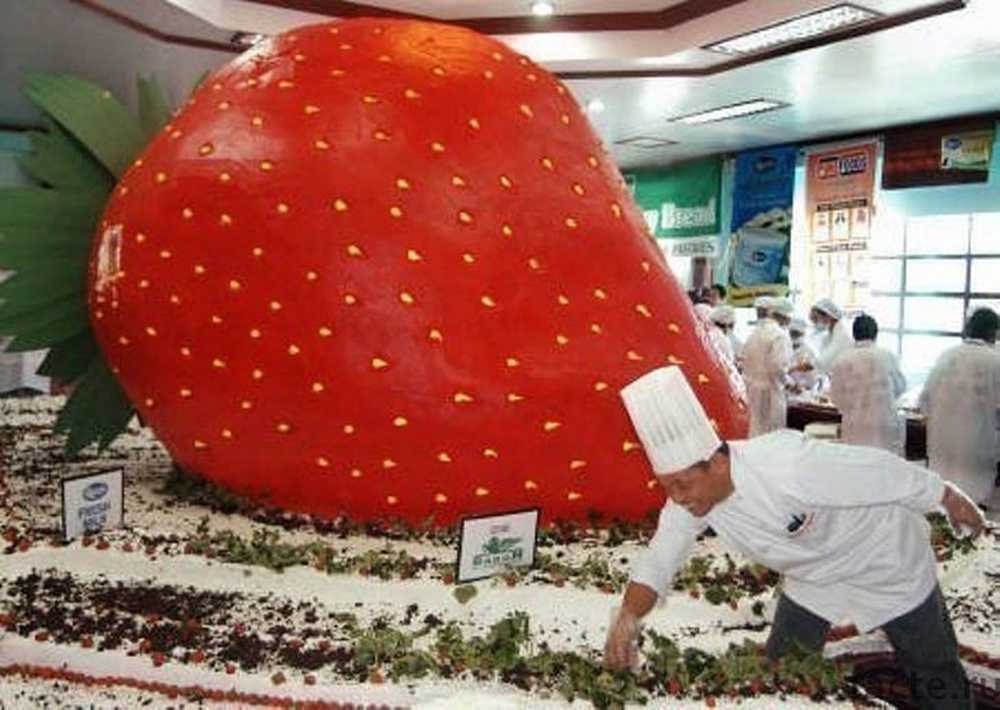 Фото Самой Большой Конфеты В Мире