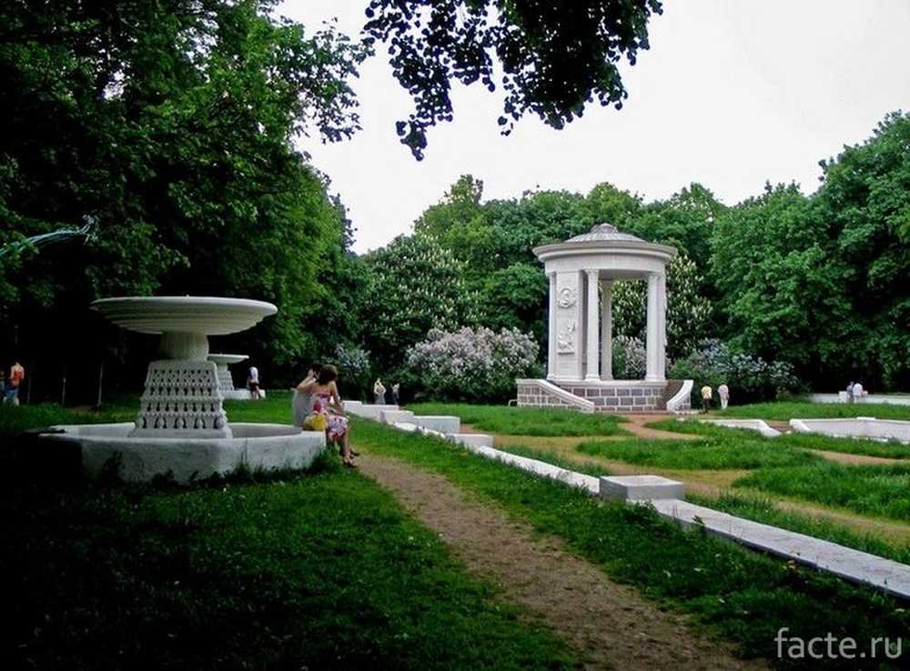 Картинки Нескучного Сада