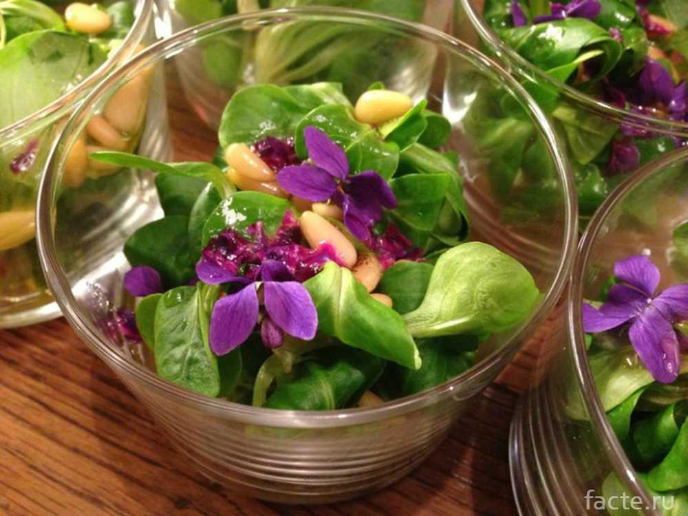 Где Можно Купить Цветы Фиалку