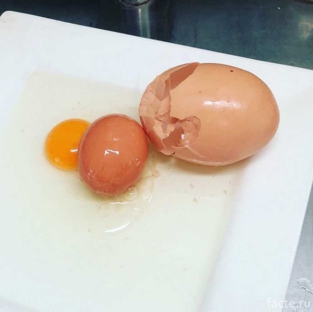 Страстное яйцо