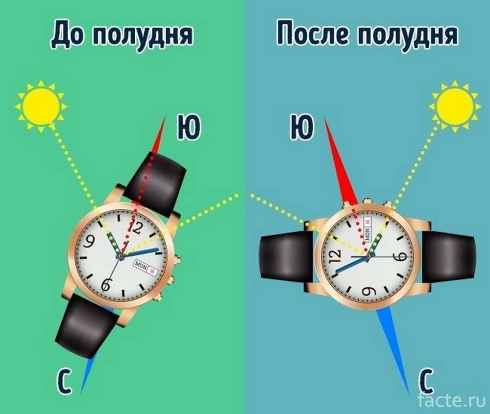 Полдень день как правильно. Как определить стороны света по часам со стрелками. Ориентирование на местности по солнцу и часам. Как определить стороны света по наручным часам. Определить стороны света по часам и солнцу.