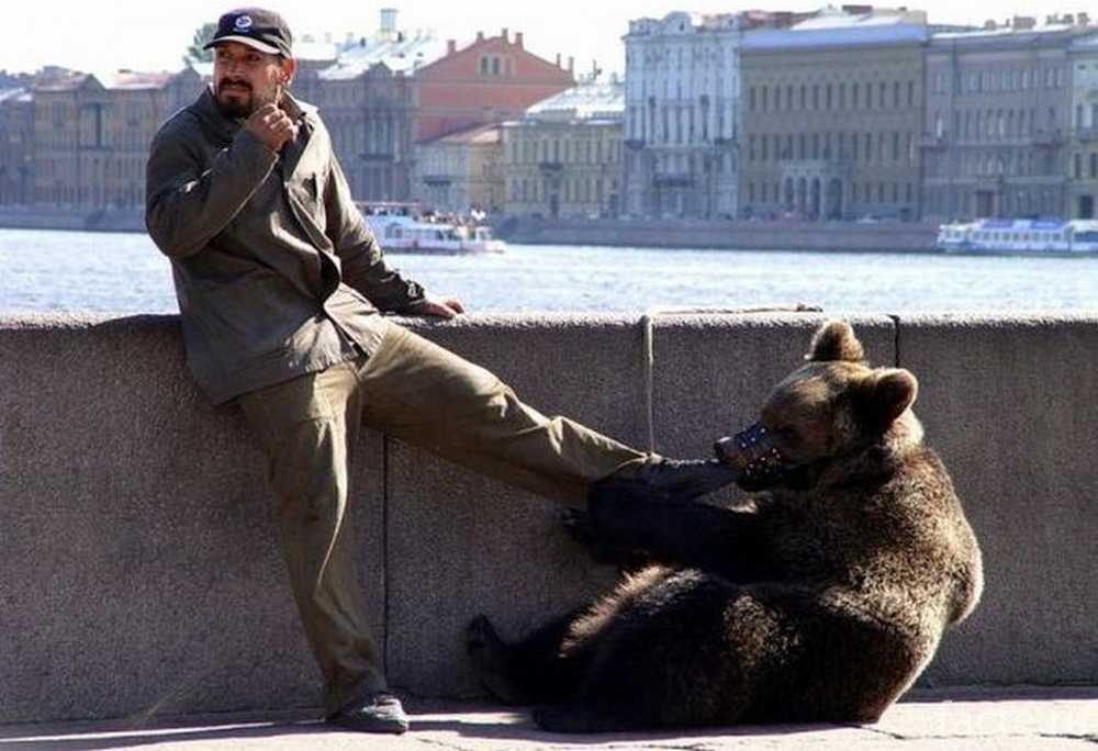 Медведи на красной площади