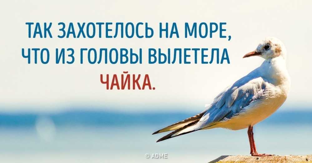 Иллюстрация вылетело из головы. Если выкинуть из головы шаблон как оно всё должно быть и наслаждаться. Вылетело из головы фразеологизм. Уборка в голове. Вылетело из головы фразеологизм.