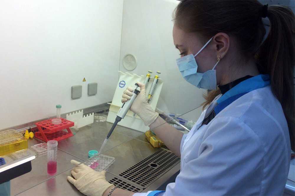 материалы для тканевой инженерии. клеточная лаборатория. стволовые клетки лаборатория. исследования стволовых клеток. медицина стволовых клеток.