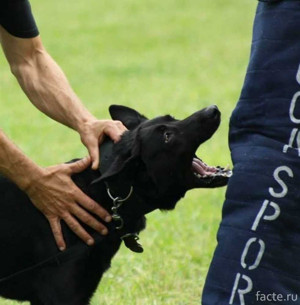 Catch off guard. Did i catch you off guard. Catch off guard.