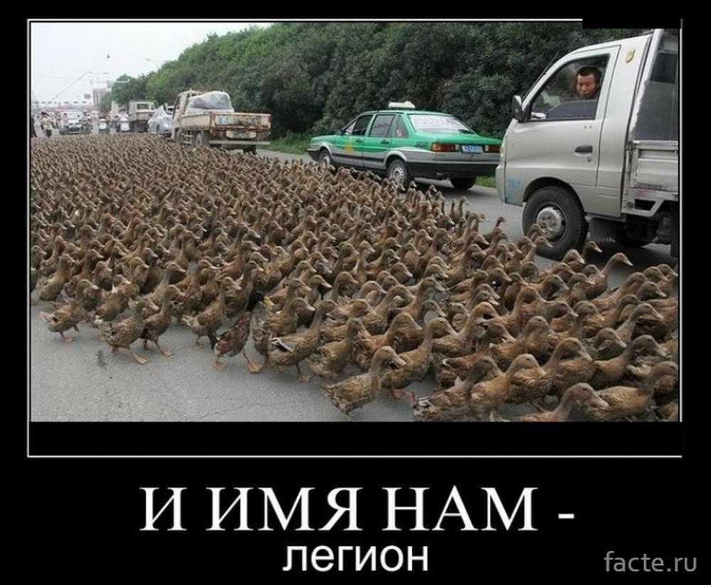 Имя нам легион том