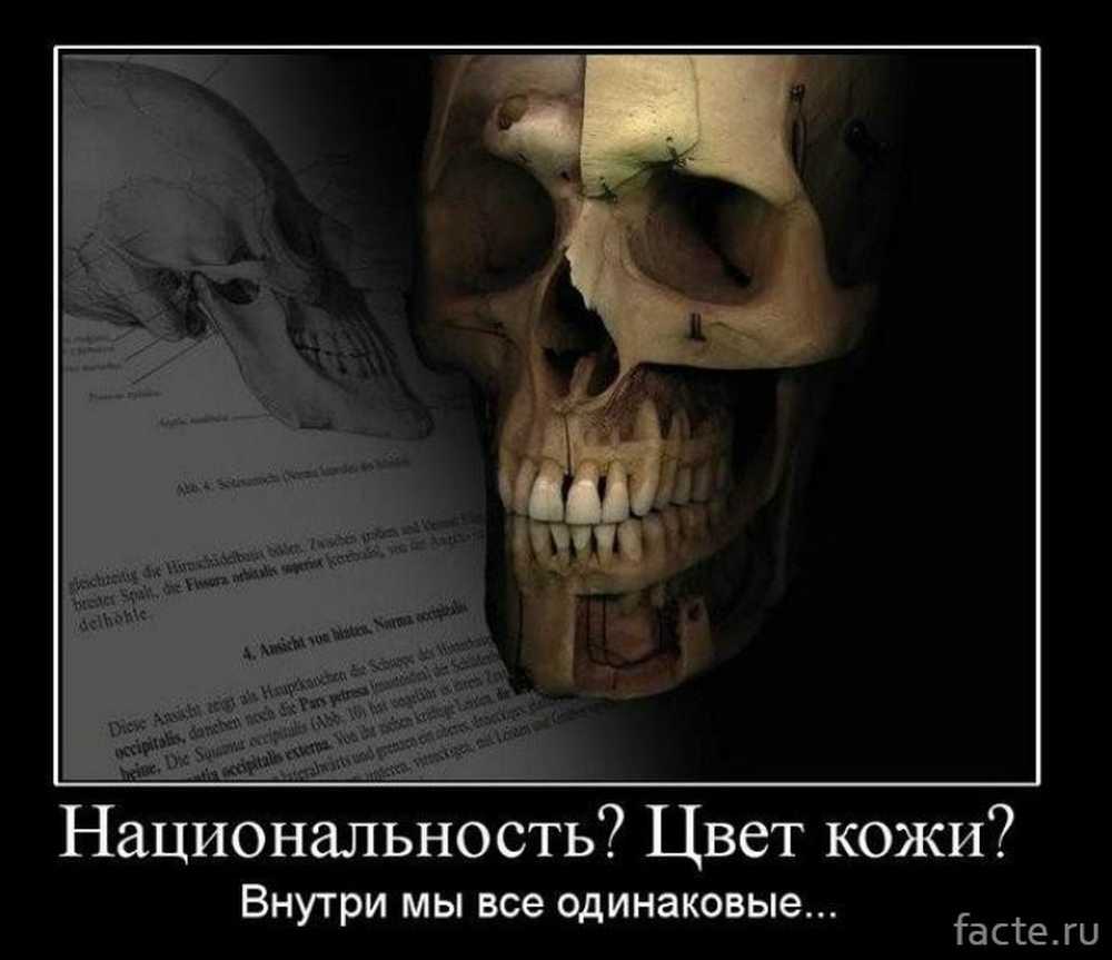 Они одинаковы мы это знаем. Внутри мы все одинаковые. Мы все одинаковые. Все мы одинаковые изнутри. Внутри мы все одинаковые плакат