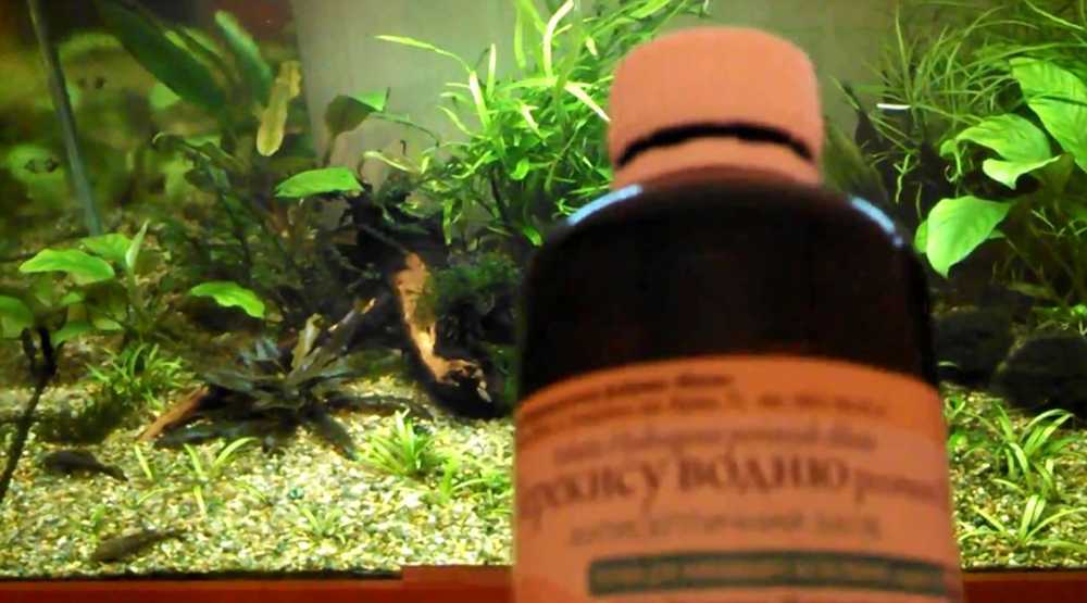 Можно ли добавлять перекись в аквариум. Можно ли добавлять перекись в аквариум. Как и чем почистить белые кораллы в аквариуме. Перекись водорода для аквариума от водорослей. Перекись водорода в аквариум с рыбками.