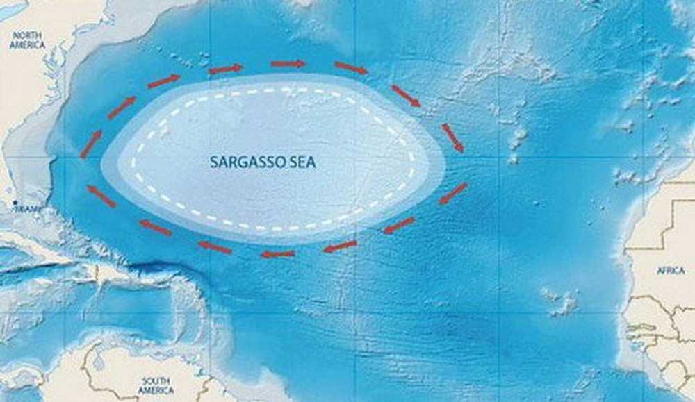 Какое название имеет море без берегов. Саргассово море Бермудский треугольник. Атлантический океан Саргассово море. Саргассово море и Бермудский треугольник на карте. Саргассово море моря Атлантического океана.
